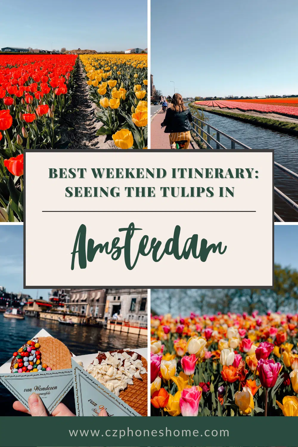 Best weekend itinerary for seeing the tulips in Amsterdam
