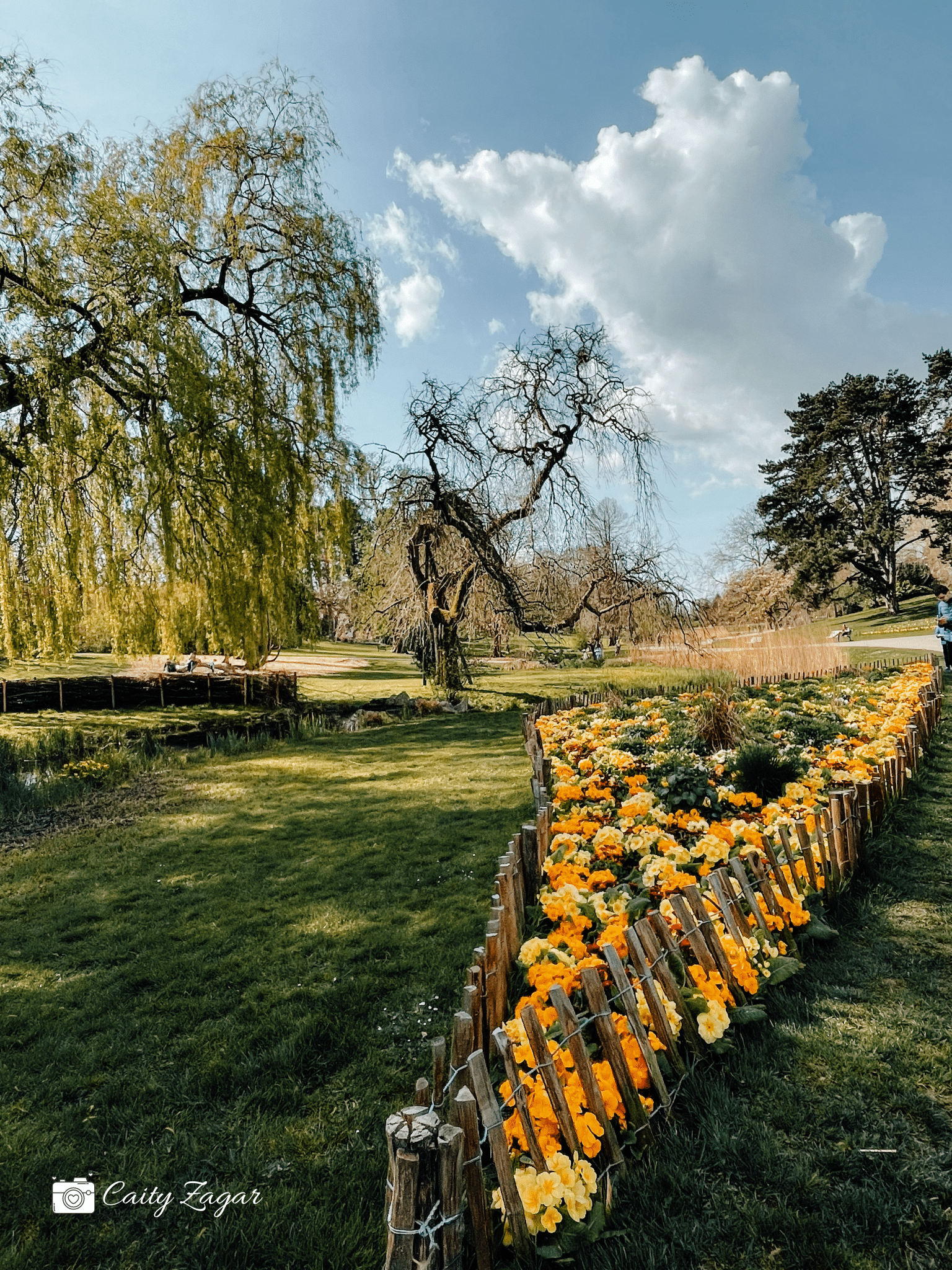 Parc Barbieux