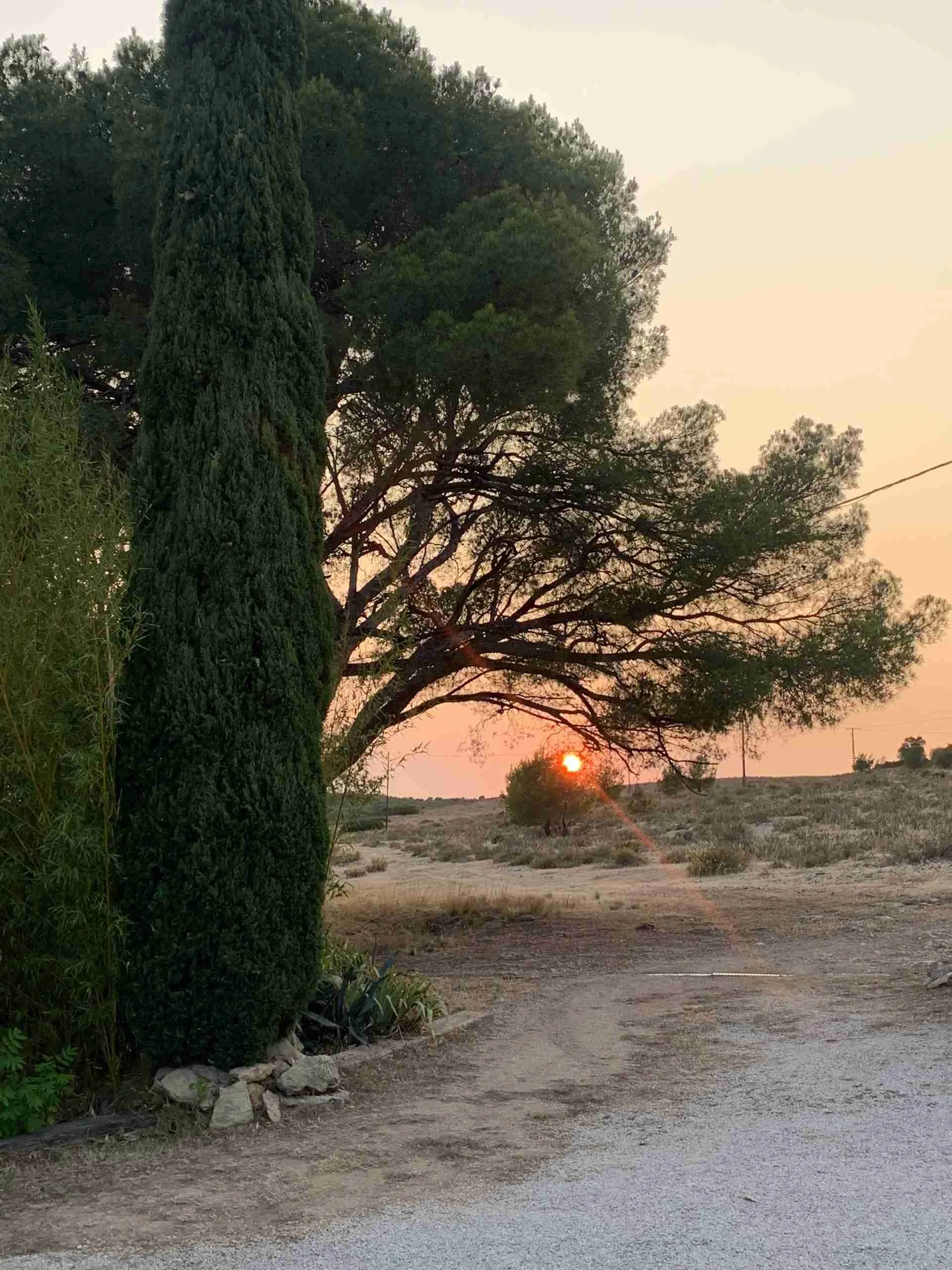 the sun setting on a dry evening in Provence 