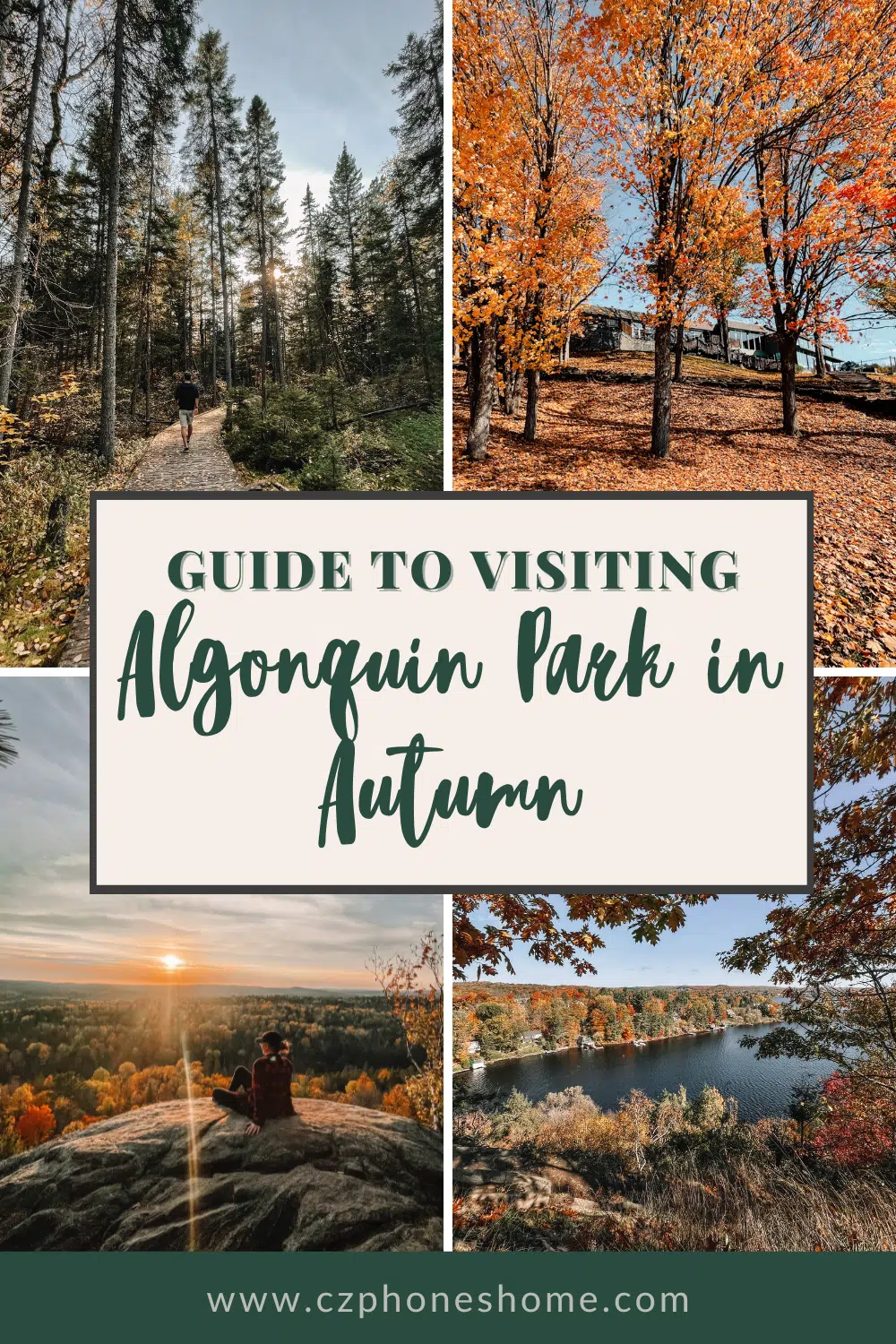 Seeing fall colors in Algonquin Park: Everything you need to know
