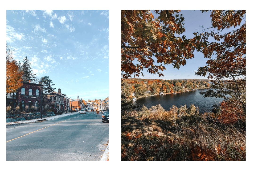 Photos of the adorable downtown Huntsville on the left and the magnificent view point from the Lions Lookout on the right 