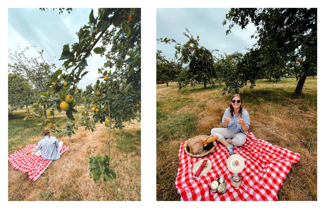 A girl enjoying a picnic in an apple orchard on a red and white checkered blanket 