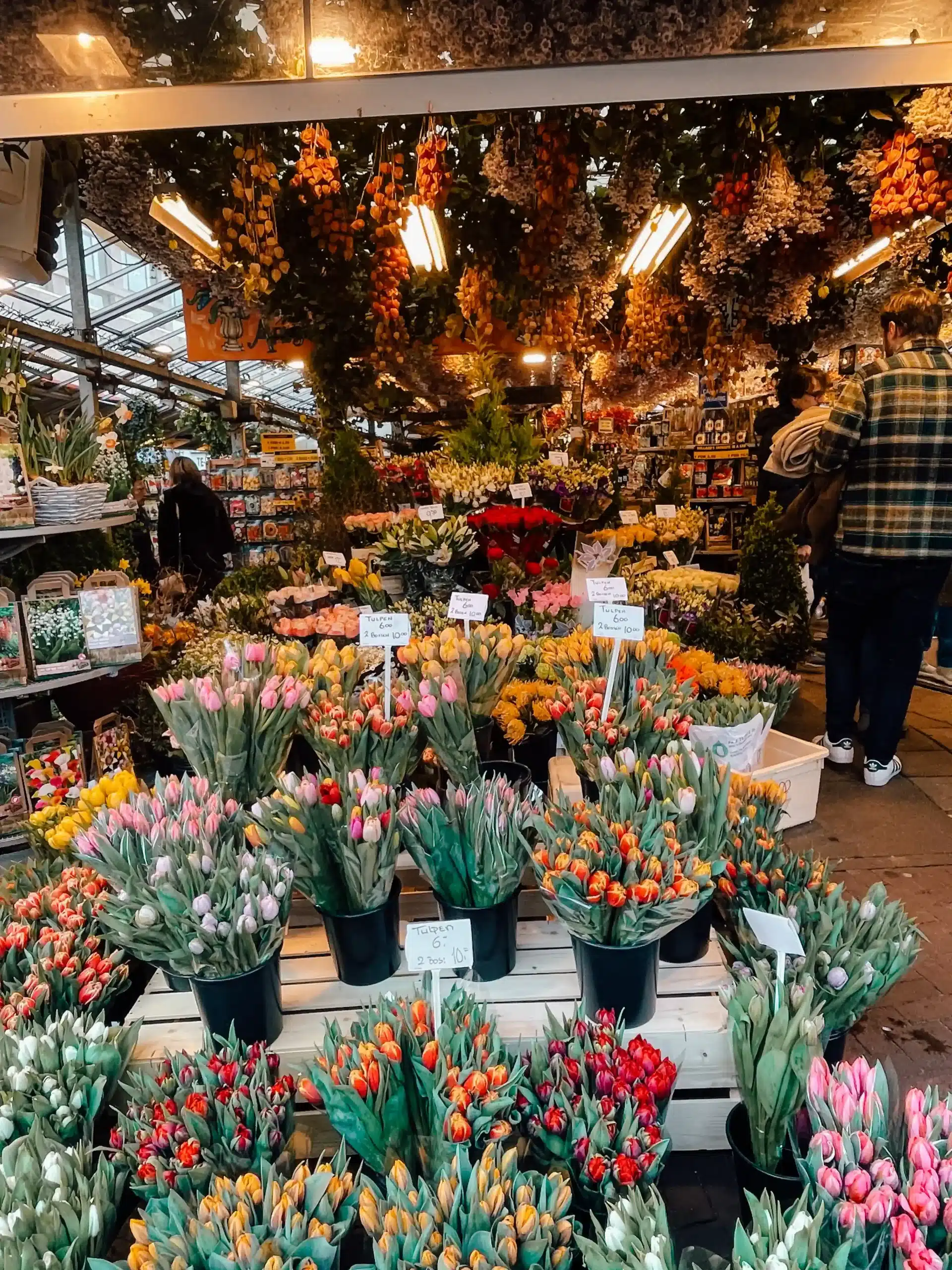 A tulip stand in bloemenmarkt filled with colorful flowers waiting to be purchased during the best time to visit Amsterdam for tulips 