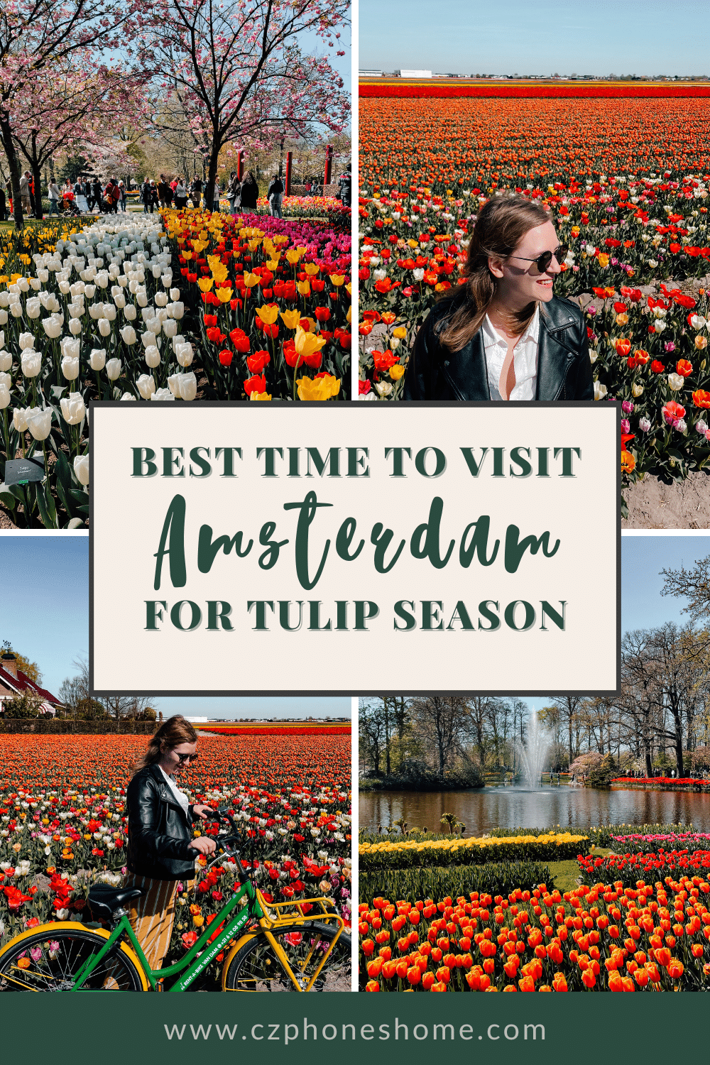 A collage of photos of the beautiful, colorful tulips fields in the Netherlands 