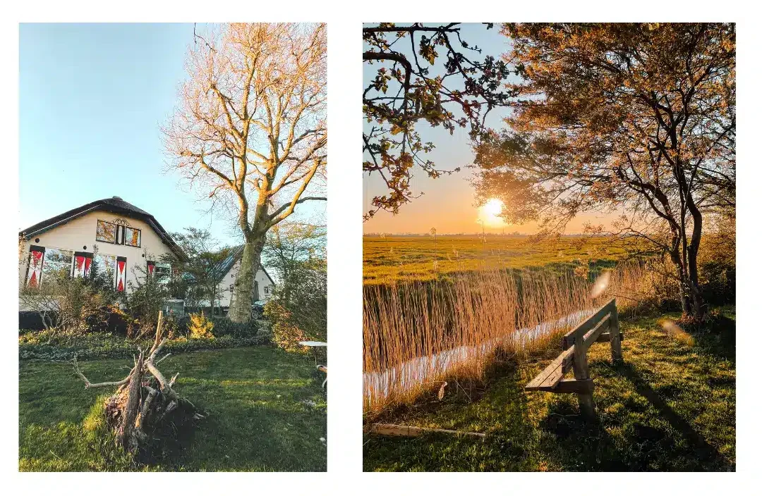 A cute farm house nestled into the Dutch countryside - perfect place to stay if you want to see the tulips in Amsterdam