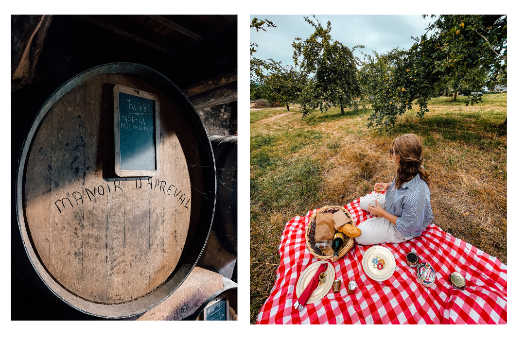 (left) a vat of cider sits ready to be open (right) a girl sits on a red and white checkered picnic blanket with a basket of picnic foods in front of her holding a glass of cider 