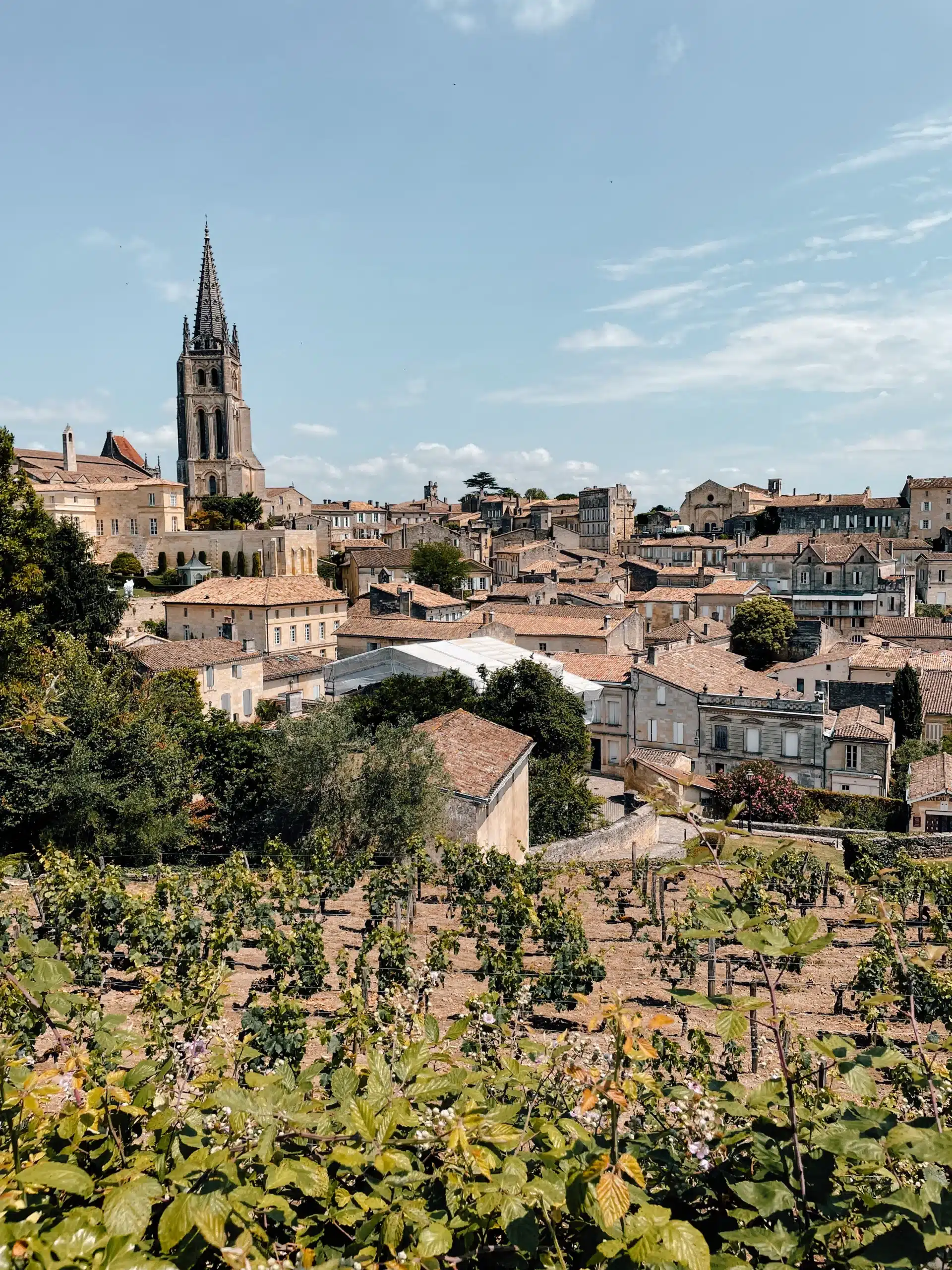 View overlooking the medieval town of St. Emilion with vineyards in the foreground and the town sitting in the background