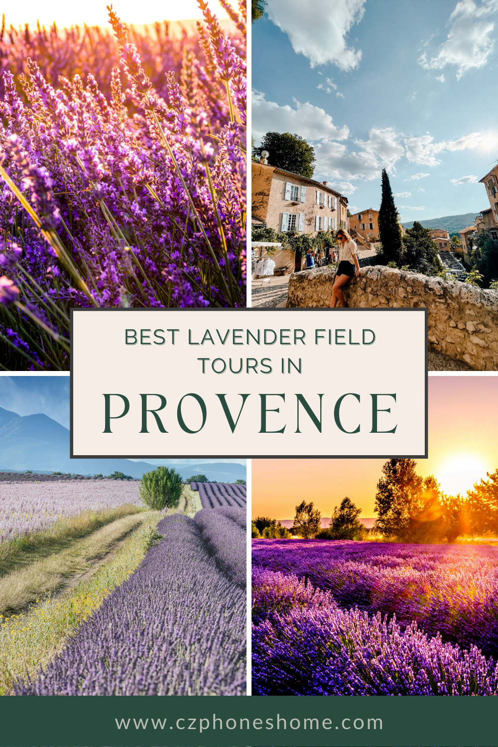 best lavender field tours in Provence 