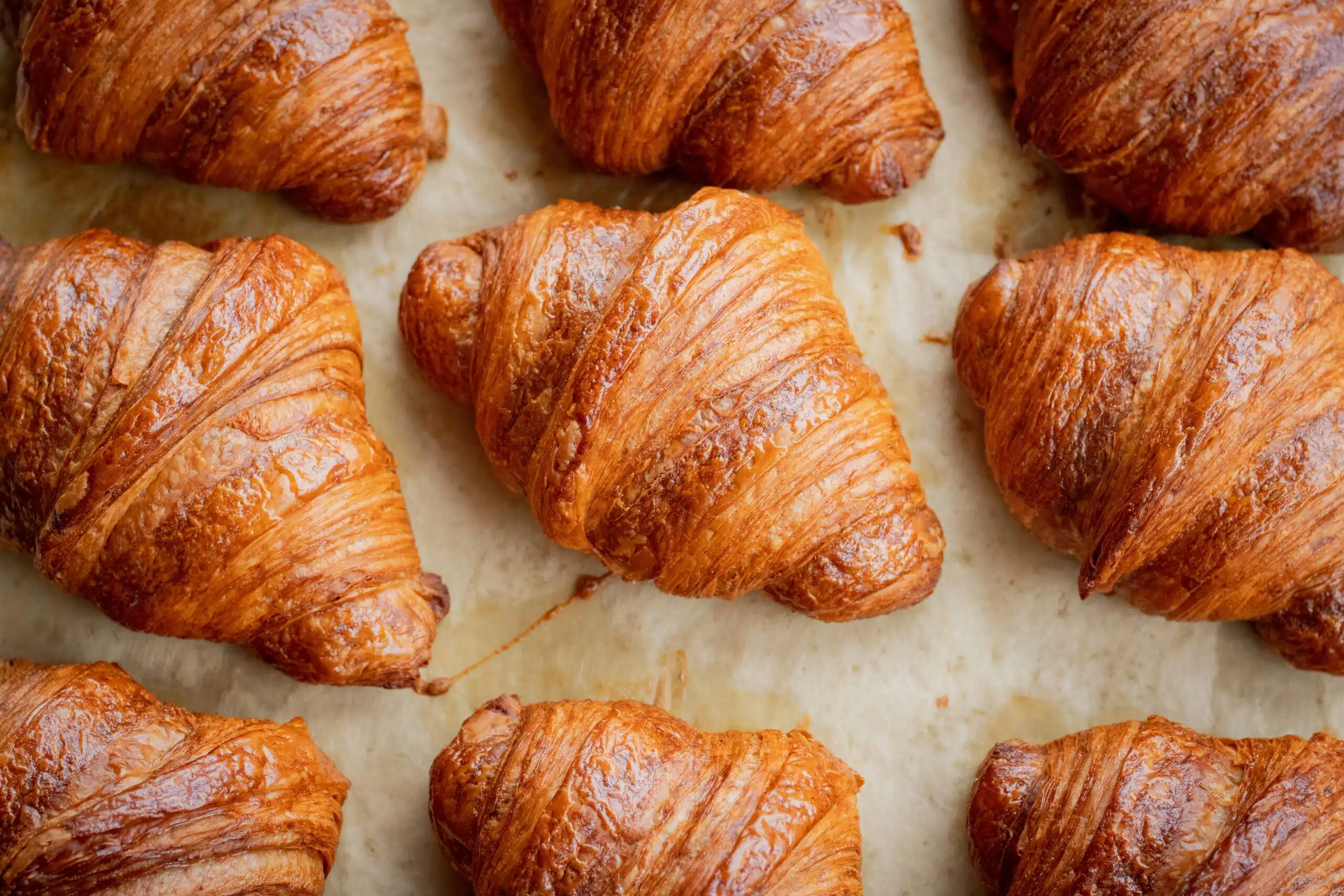 Several croissants sit neatly on a baking tray 