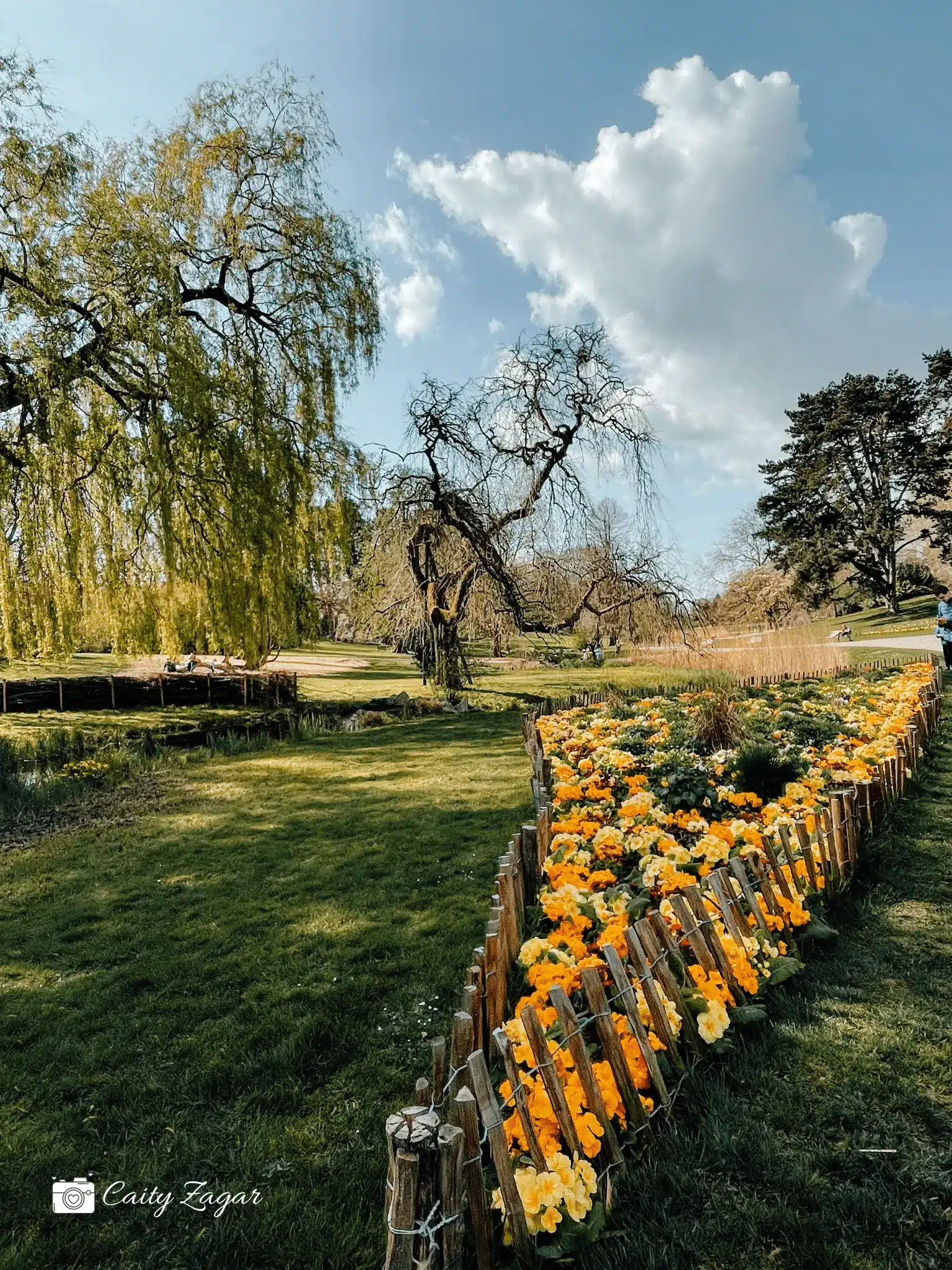 Parc Barbieux in Roubaix on a sunny day with yellow and orange flowers filling one of its flower beds and trees standing in the distance. 