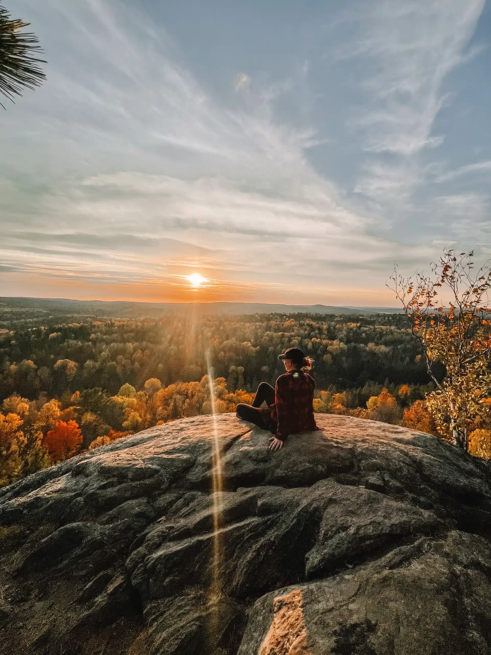Seeing fall colors in Algonquin Park: Everything You Need to Know