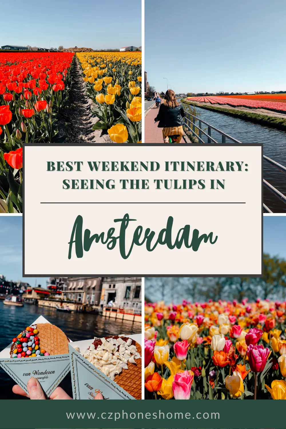 Tulips in Amsterdam weekend itinerary