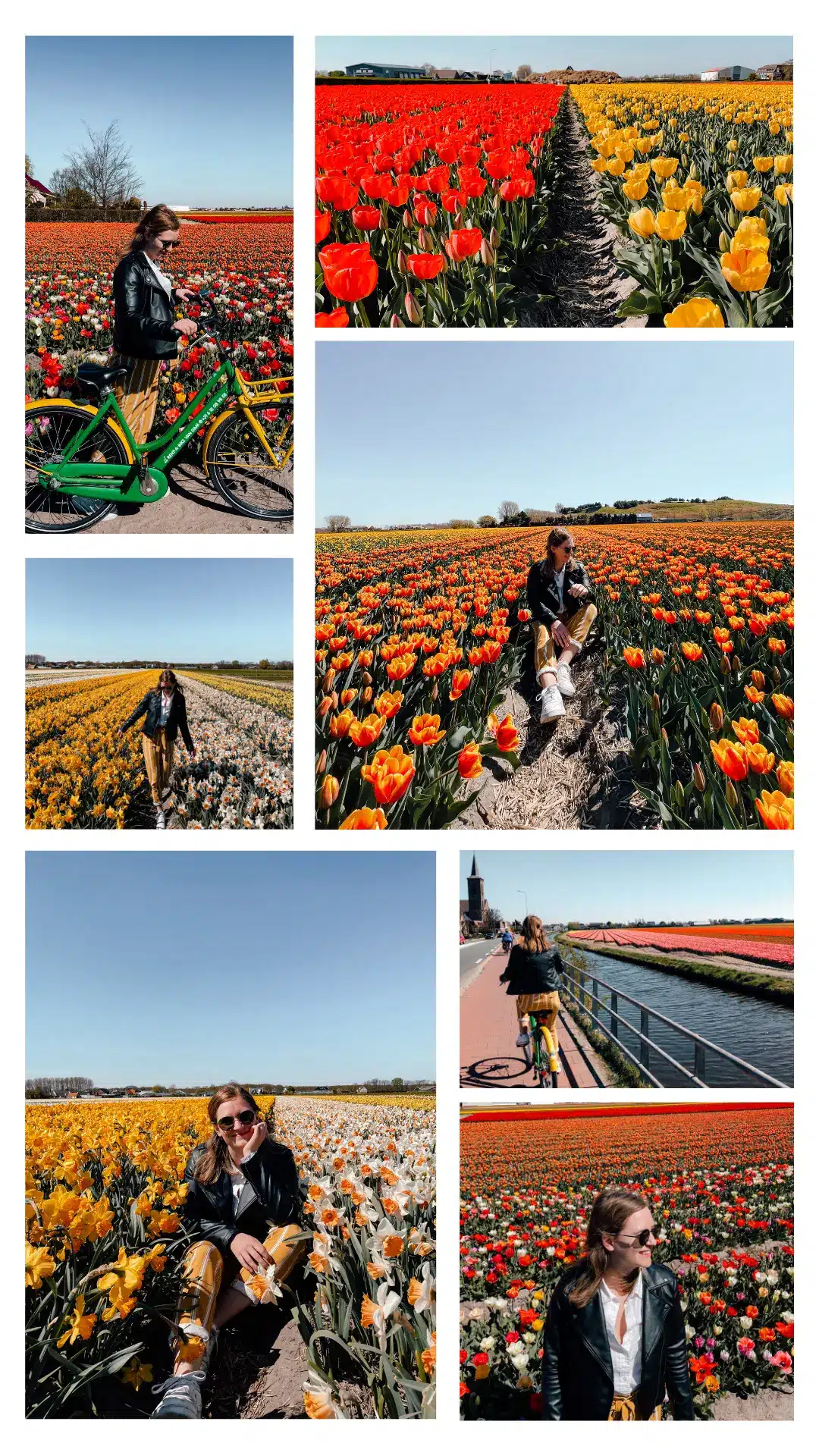 A series of photos of a girl exploring the tulip fields in Amsterdam and the Dutch coutryside. She sits next to the tulips, bikes along canals or walks alongside endless rows of fields of tulips.