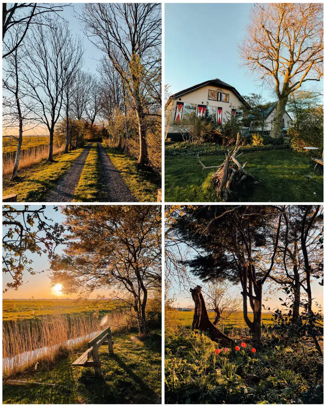 A collage of photos showcasing our beautiful countryside farmhouse close to Amsterdam at sunset featuring the gardens and fields. 