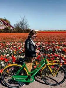 A girl standing with a bike in front of rows and rows of tulips in the Netherlands